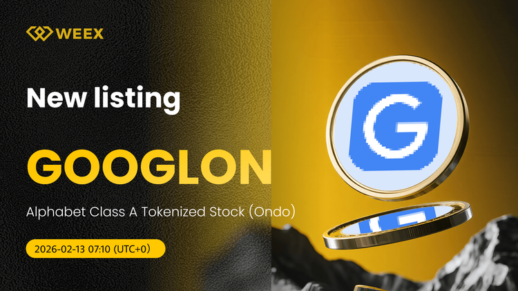 GOOGLON USDT 現貨交易 實盤在 WEEX 上:Alphabet A 類代幣