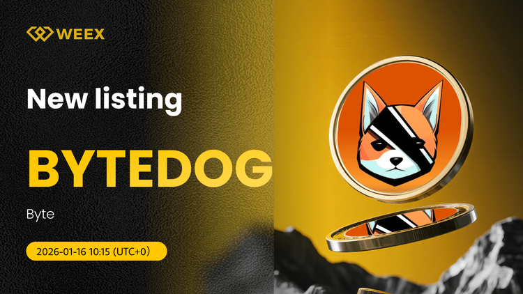 BYTEDOG USDT Agora Disponível no WEEX Spot: Negocie Byte Coin