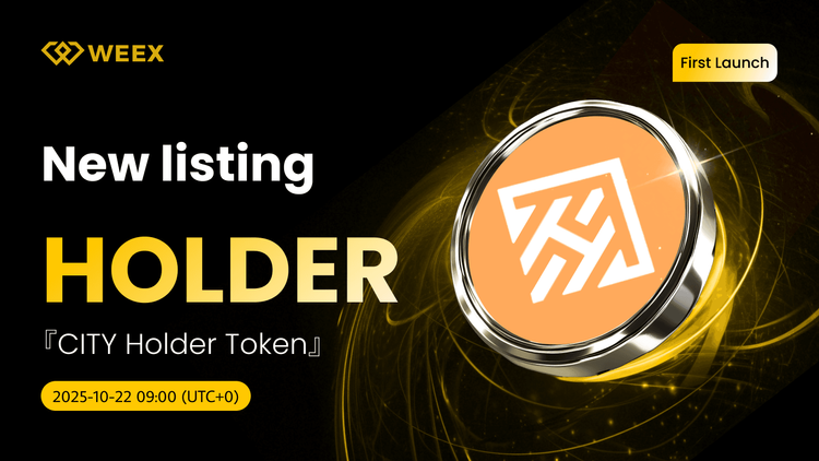 持有 USDT 在 WEEX 上的列表： 城市持有者代币(持有者)硬币