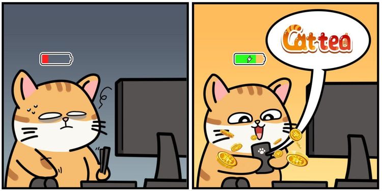 Cattea每日组合 2025年2月5日:最完整的Cattea空投指南
