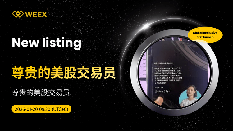 Lançamento exclusivo global: Negociação de USDT para operadores de ações dos EUA já está disponível na bolsa WEEX