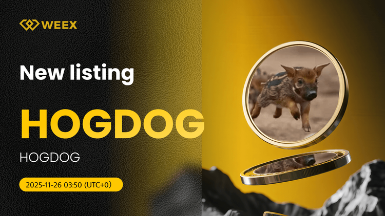 HOGDOG USDT 现货交易对上线 WEEX