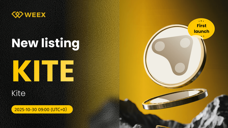 KITE USDT 现货交易在 WEEX 上推出，供 Kite Coin 使用