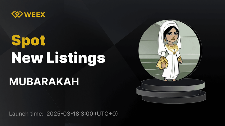 MUBARAKAH USDT 交易對現已在 WEEX 上線