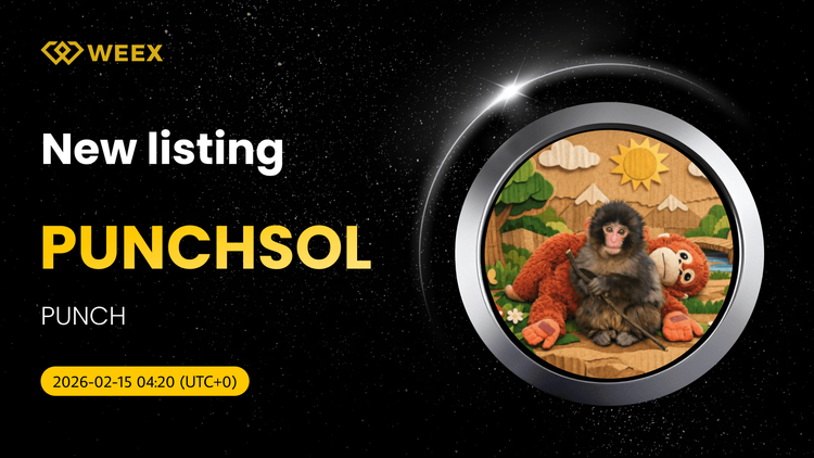WEEX交易所的PUNCHSOL USDT現貨交易開啟
