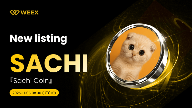 SACHI/USDT 现货交易上线 WEEX 交易所