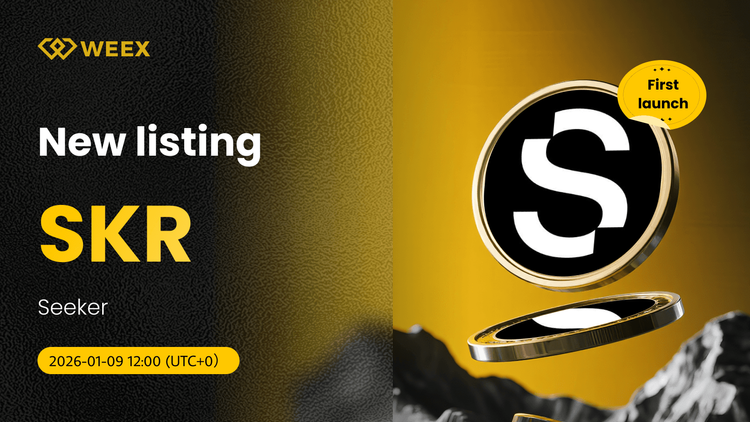 SKR USDT 现在可用: 在WEEX现货上市的探索者硬币