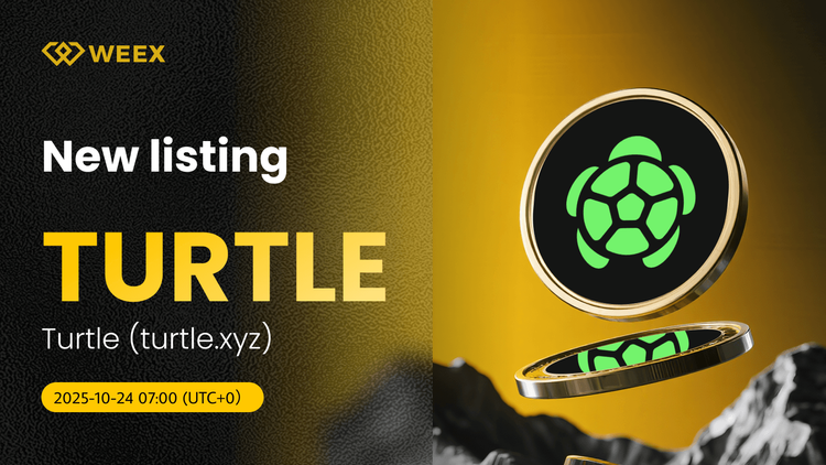 Turtle (turtle.xyz) USDT 现货交易在 WEEX 交易所开盘