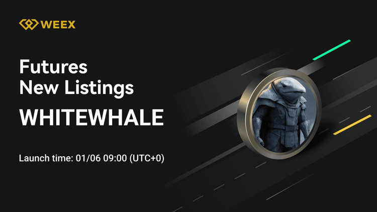 WHITEWHALE USDT: WEEX Futures lança contrato perpétuo