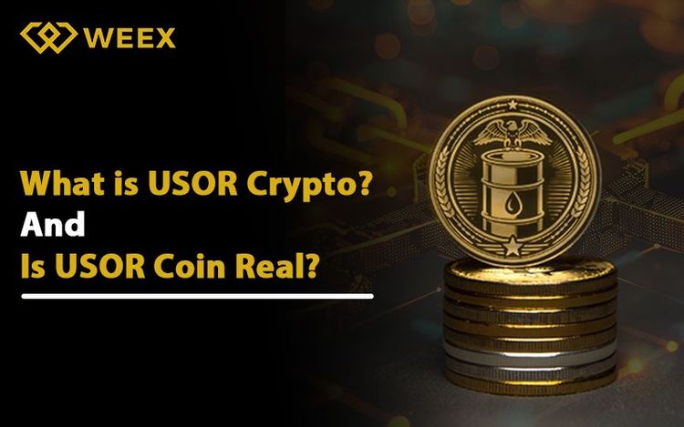 USOR:現實與虛構之間